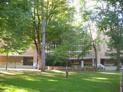 bibliothèque universitaire
