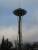 Space Needle